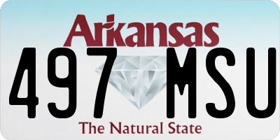 AR license plate 497MSU