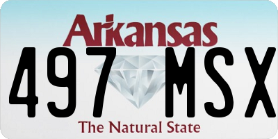AR license plate 497MSX