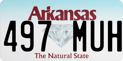 AR license plate 497MUH
