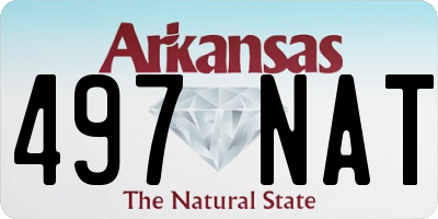 AR license plate 497NAT