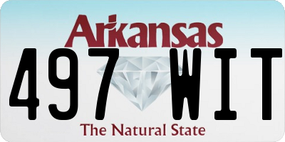 AR license plate 497WIT