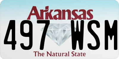 AR license plate 497WSM
