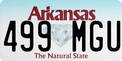AR license plate 499MGU