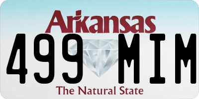 AR license plate 499MIM