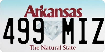 AR license plate 499MIZ