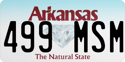AR license plate 499MSM