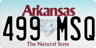 AR license plate 499MSQ