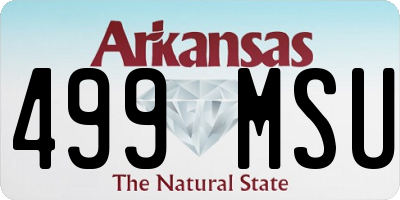 AR license plate 499MSU
