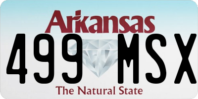 AR license plate 499MSX
