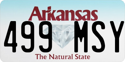 AR license plate 499MSY