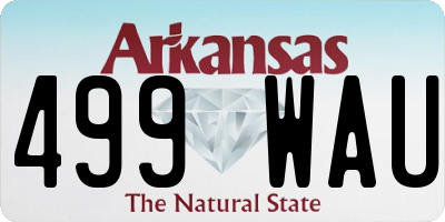AR license plate 499WAU