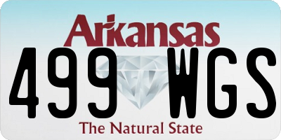 AR license plate 499WGS