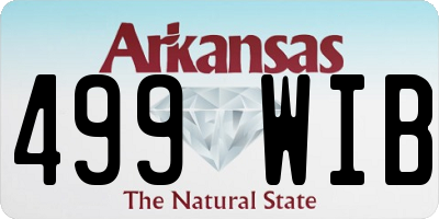 AR license plate 499WIB
