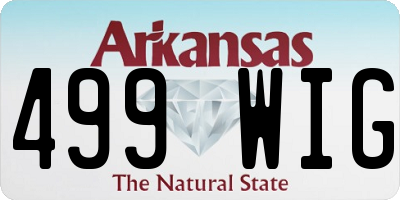 AR license plate 499WIG