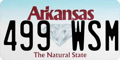 AR license plate 499WSM
