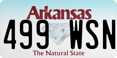 AR license plate 499WSN