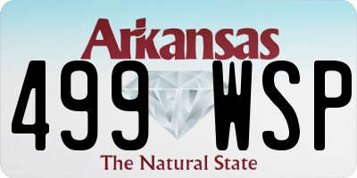 AR license plate 499WSP