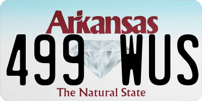AR license plate 499WUS
