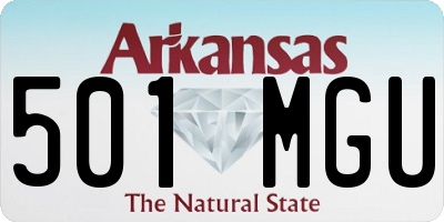 AR license plate 501MGU