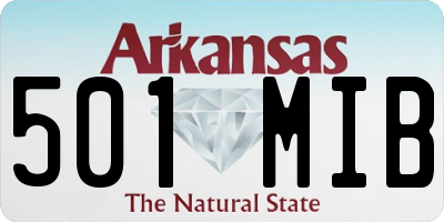 AR license plate 501MIB