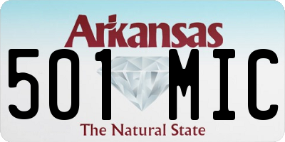 AR license plate 501MIC