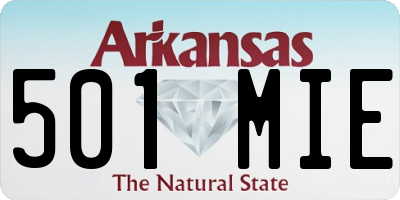 AR license plate 501MIE