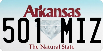 AR license plate 501MIZ
