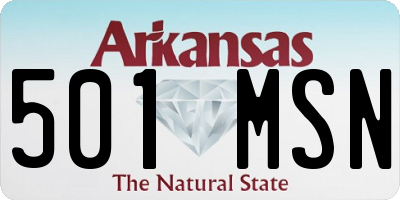 AR license plate 501MSN