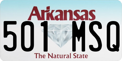 AR license plate 501MSQ