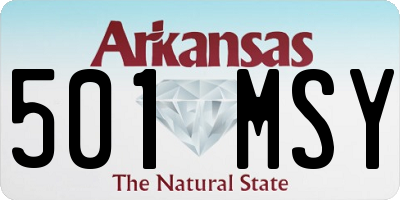 AR license plate 501MSY