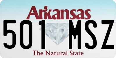AR license plate 501MSZ
