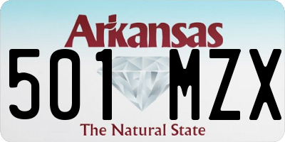 AR license plate 501MZX