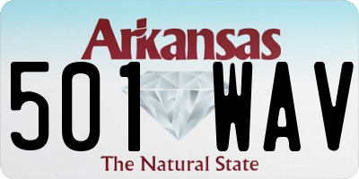 AR license plate 501WAV