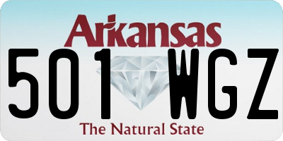 AR license plate 501WGZ