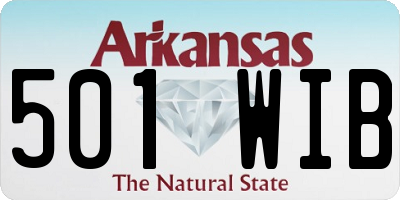 AR license plate 501WIB