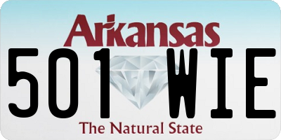 AR license plate 501WIE