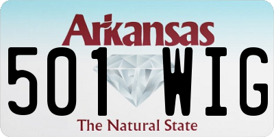 AR license plate 501WIG