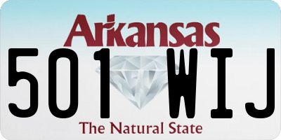 AR license plate 501WIJ