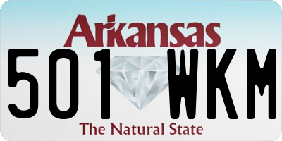 AR license plate 501WKM