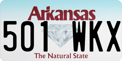 AR license plate 501WKX