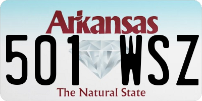 AR license plate 501WSZ