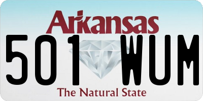 AR license plate 501WUM
