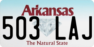 AR license plate 503LAJ