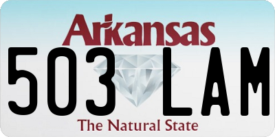 AR license plate 503LAM