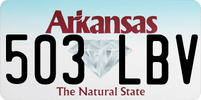 AR license plate 503LBV