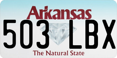 AR license plate 503LBX