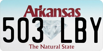 AR license plate 503LBY