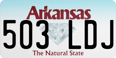 AR license plate 503LDJ