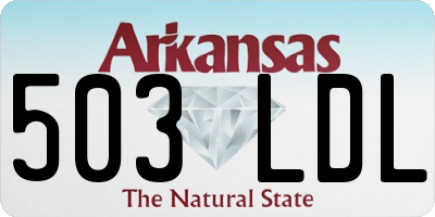 AR license plate 503LDL