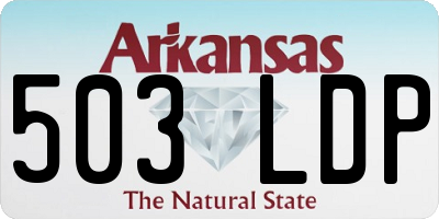 AR license plate 503LDP